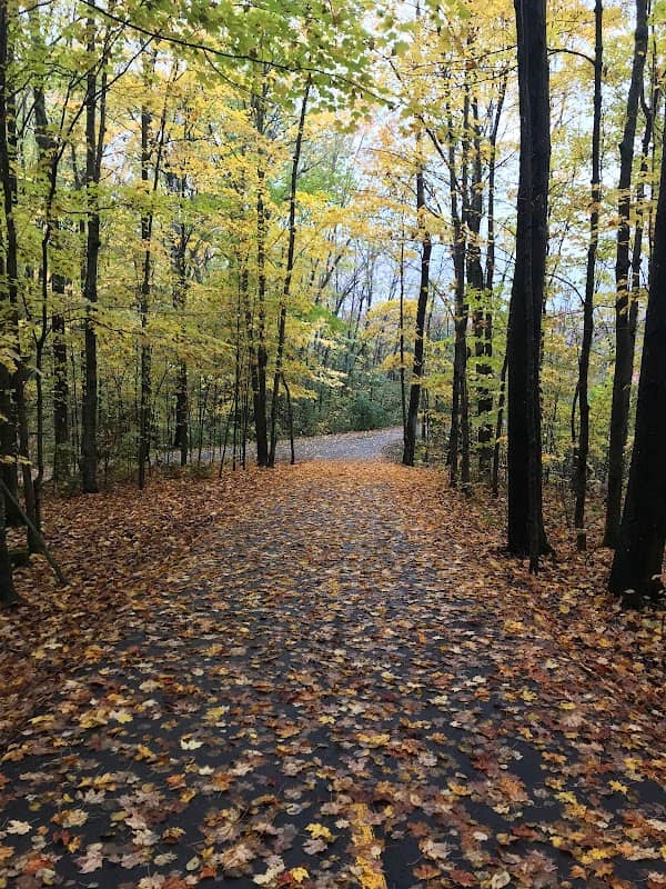 Parc René-Lévesque - Image 2