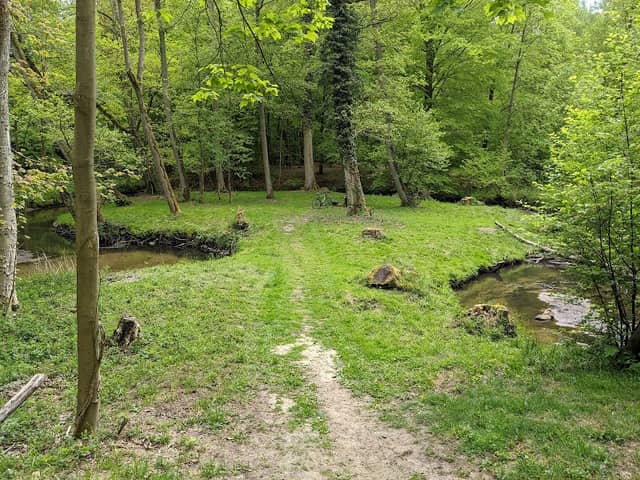 Liebesinsel im Hainholz - Image 1