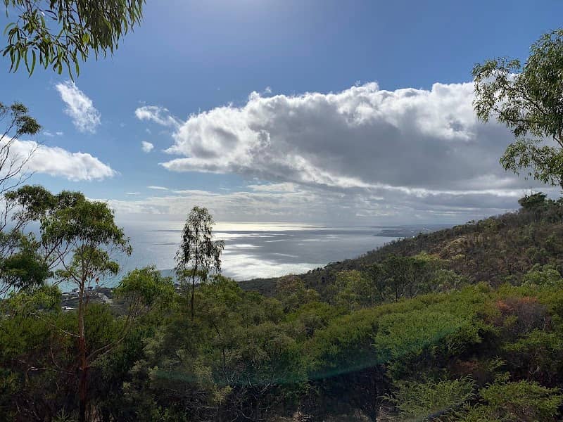 Arthurs Seat State Park (Parks Victoria) - Image 2