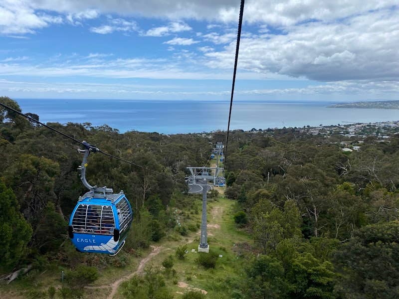 Arthurs Seat State Park (Parks Victoria) - Image 3