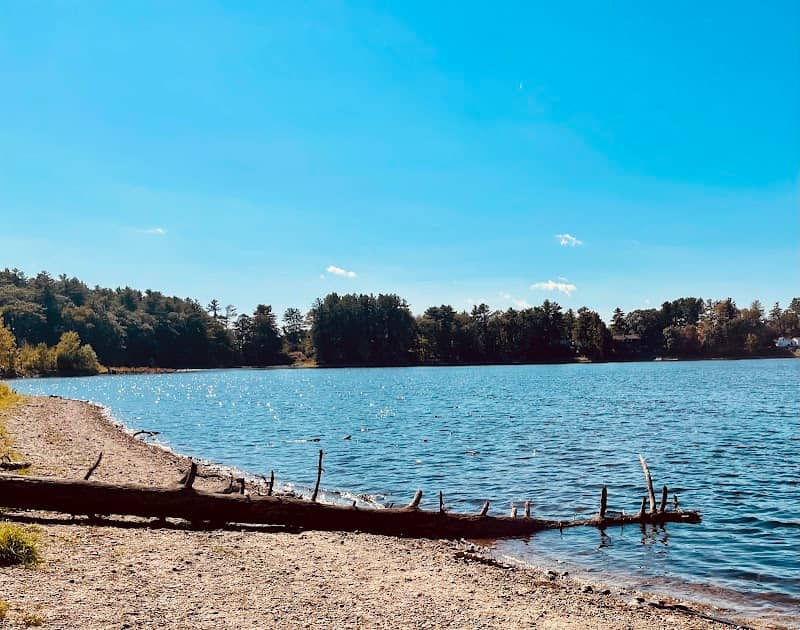 Willand Pond - Image 2