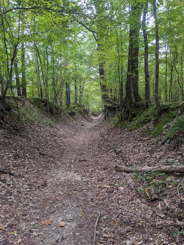 Village Creek State Park - Image 2