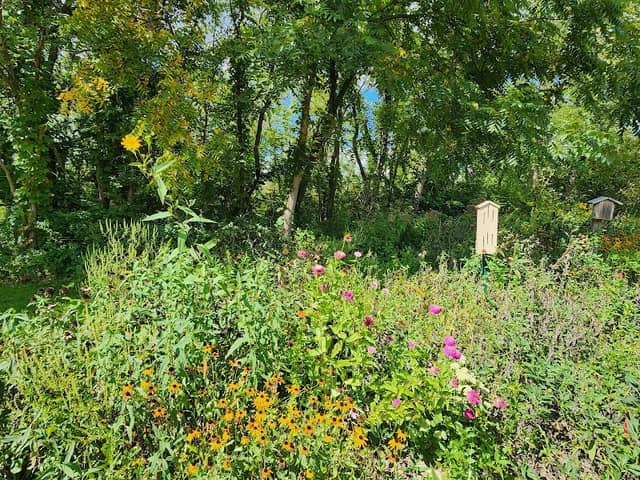 DeWitt Westbrook Park Butterfly Garden - Image 1