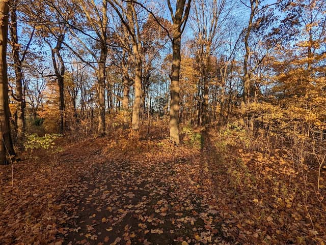Rudorf Trails - Image 2