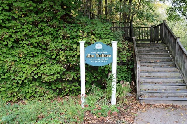 Old Iron Springs - Image 2