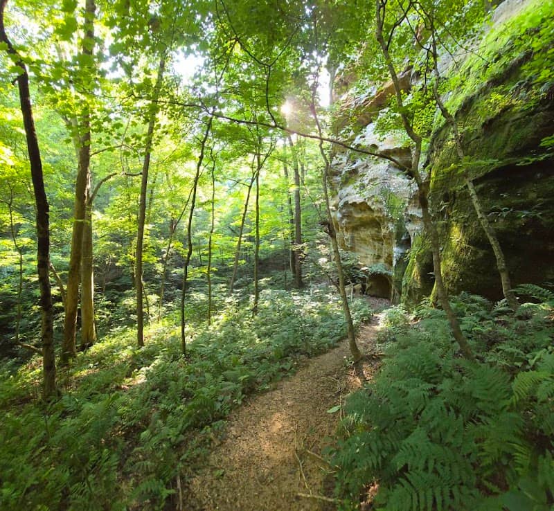 Jeffrey's Cliffs - Image 2