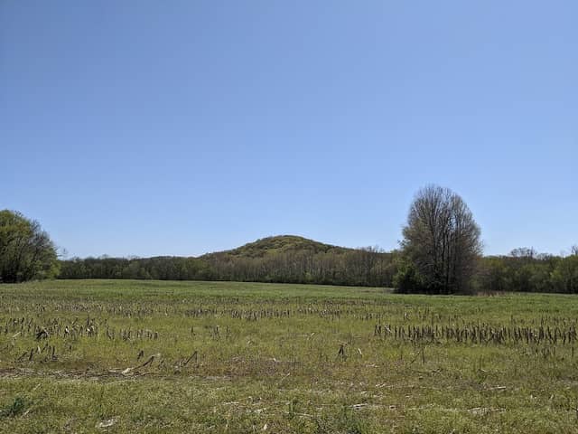 Pacific Palisades Conservation Area - Image 1