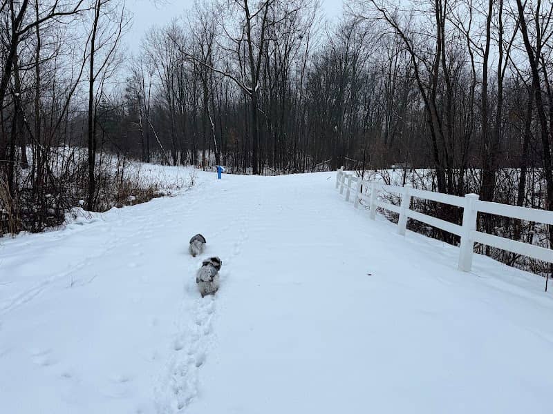 Rose Walking Path - Image 1