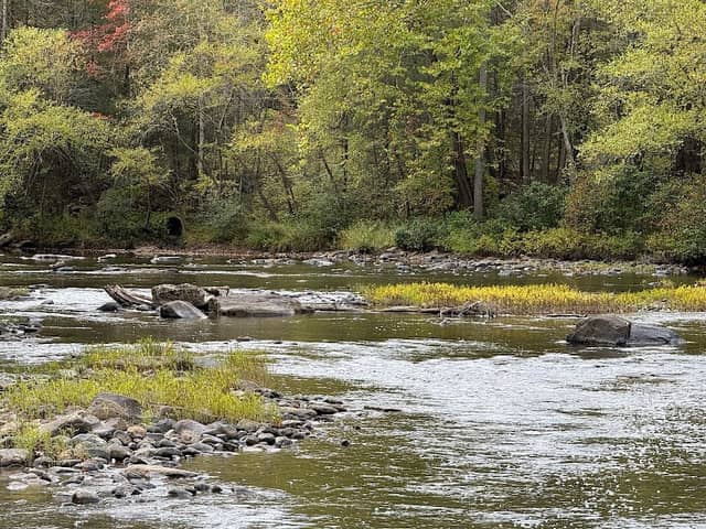 Russellville Trailhead (Meadow River Trail) - Image 3