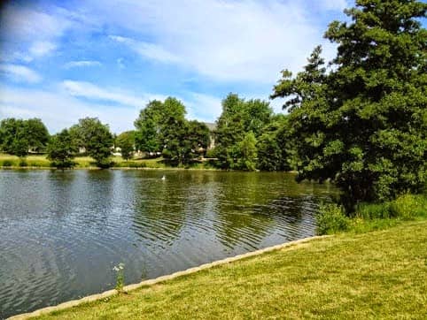 Chestnut Basin - Image 2