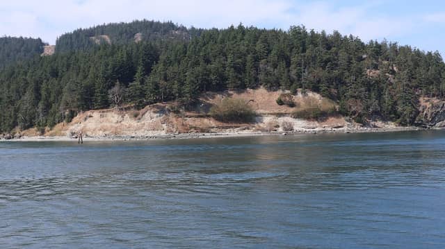 Shaw Island - Image 1