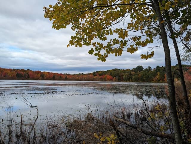 Hammond Pond Reservation - Image 1