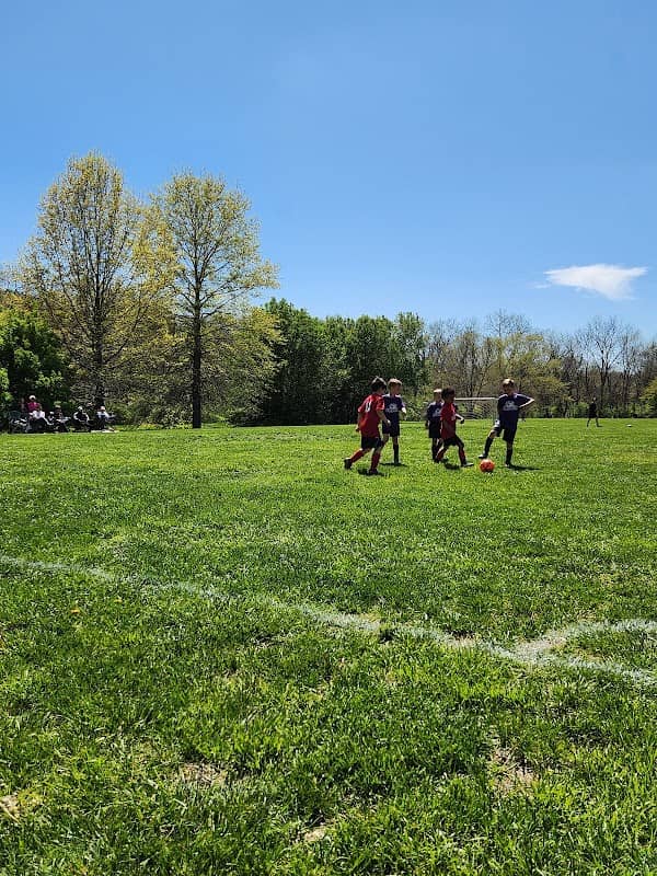 Willow Park - Image 1