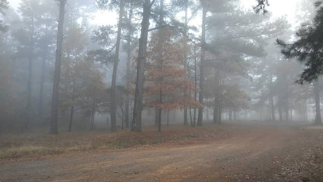 Fairview Recreation Area - Image 2