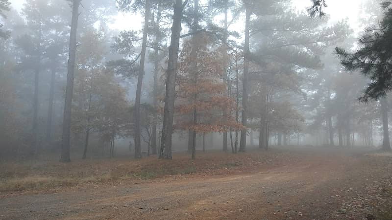 Fairview Recreation Area - Image 2
