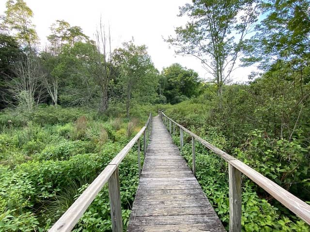 Great Flats Nature Trail - Image 1