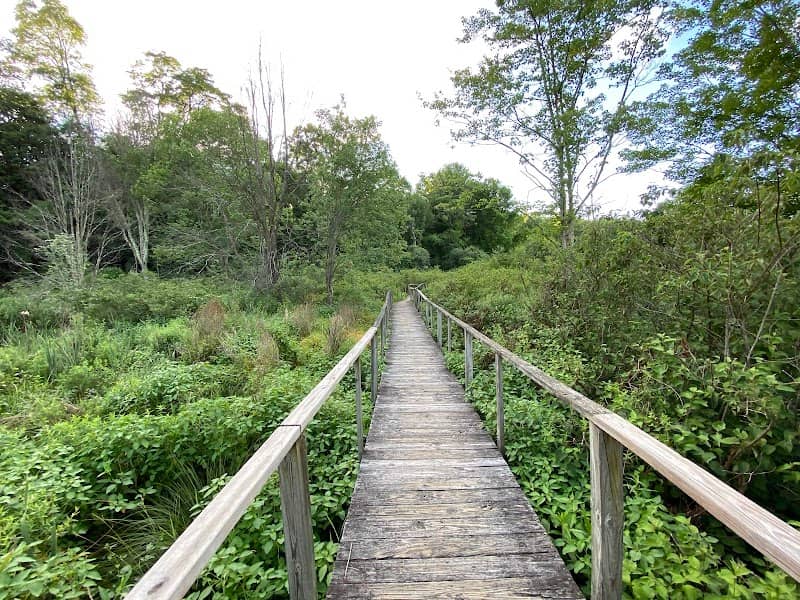 Great Flats Nature Trail - Image 1
