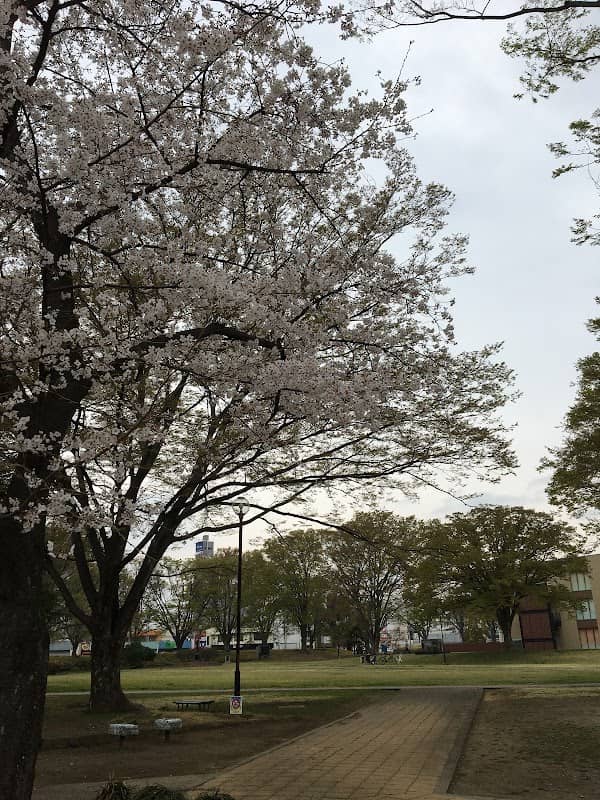 Ota Central Park - Image 1