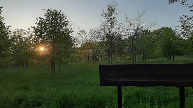 2. Löhner Bürgerwald - Image 1