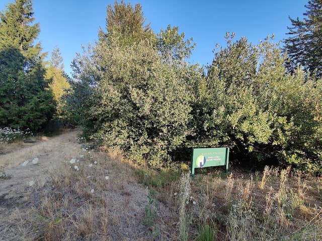 Emma Jones Nature Preserve - Image 2