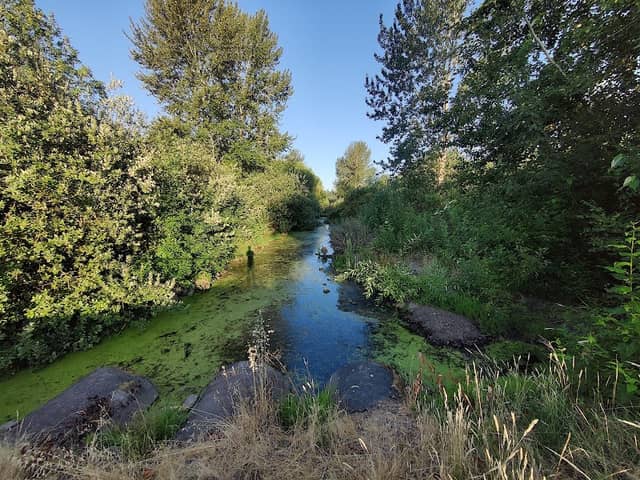 Emma Jones Nature Preserve - Image 1