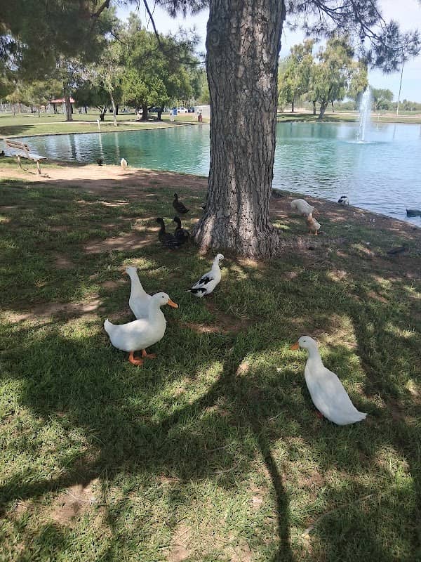 Burruss Park - Image 1