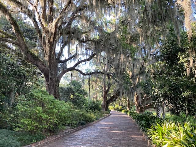Alfred B. Maclay Gardens State Park - Image 1