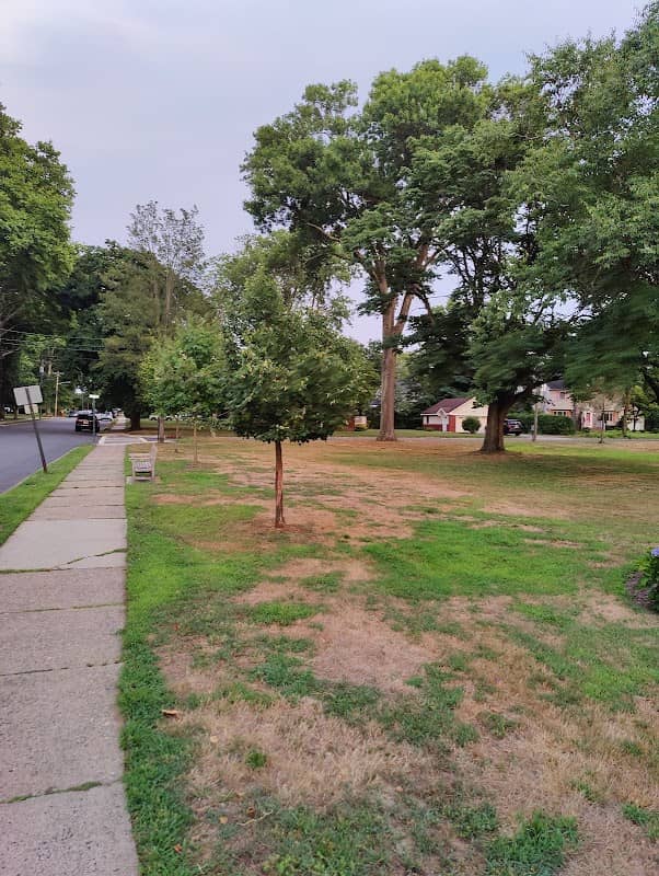 Leuning Park - Image 1