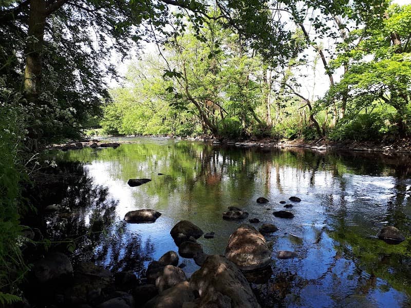 Galgorm Wood - Image 2
