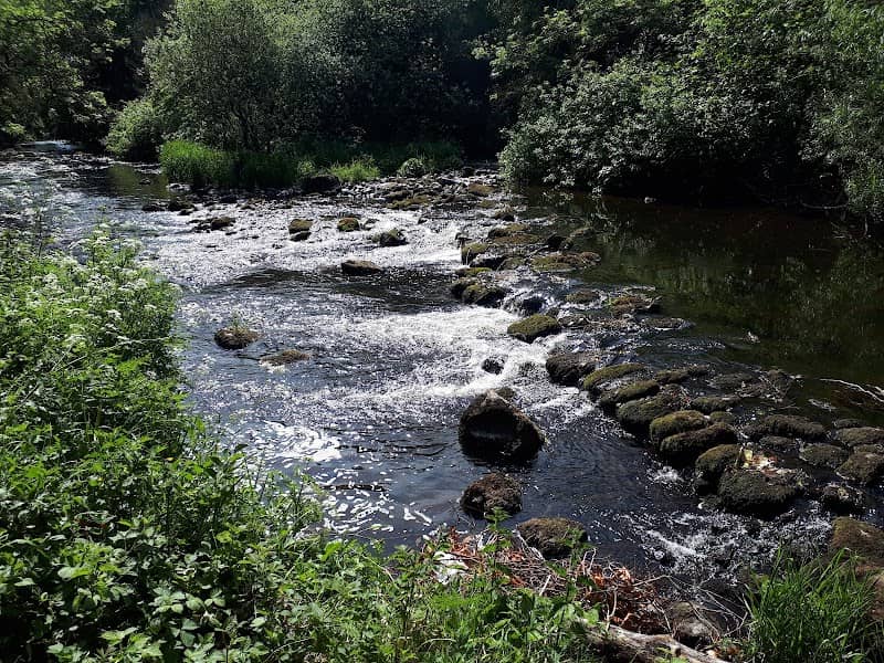 Galgorm Wood - Image 1