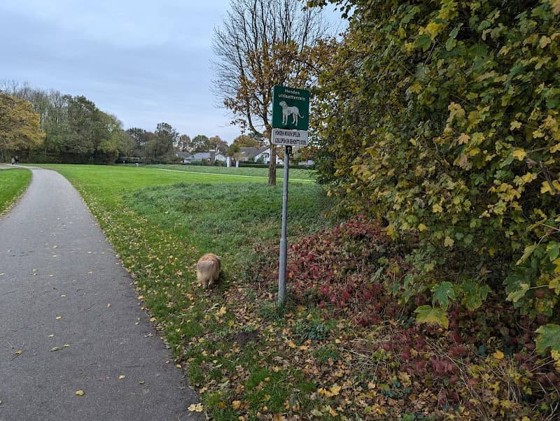 Honden uitlaatrerrein - Image 1