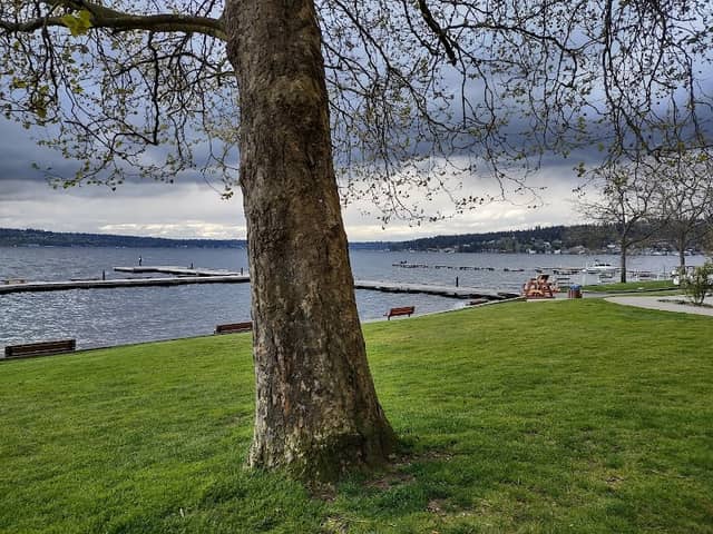Waverly Beach Park - Image 1