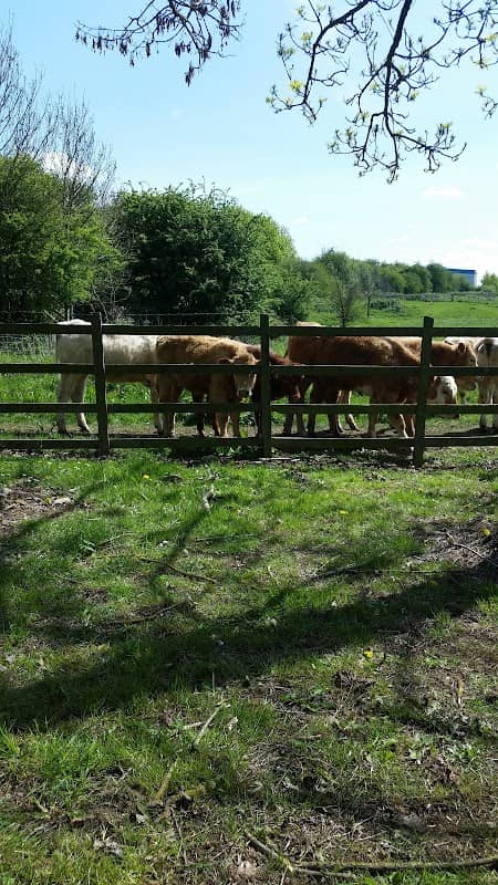 Kingsthorpe Meadow - Image 1