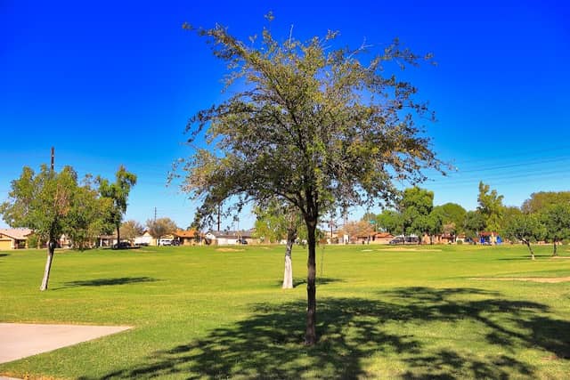 Windrose Park - Image 2