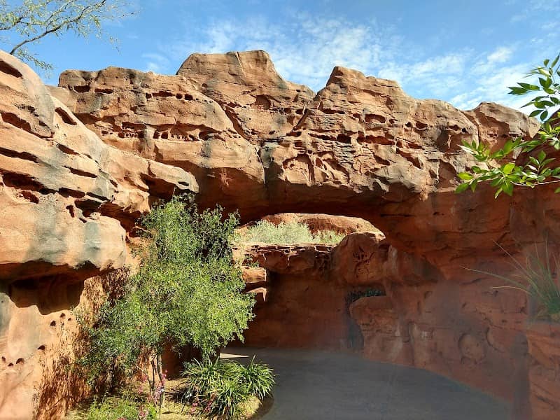 Red Hills Desert Garden - Image 1