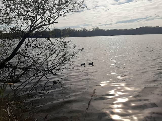 Tyacke Park - Image 3