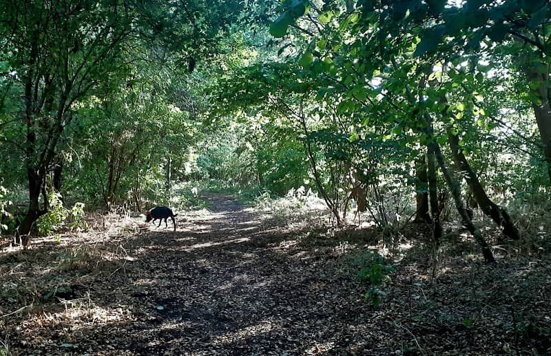 Bearts Farm Wood - Image 1
