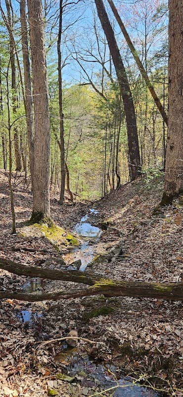 Hoggard Trail - Image 2