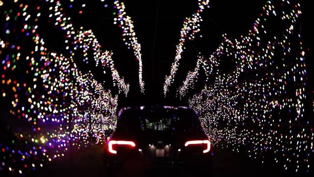 Crane Orchards Lightshow - Image 1