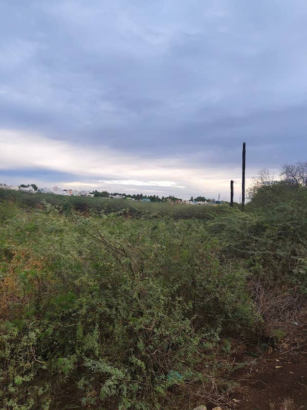 CMV GARDEN - Image 1