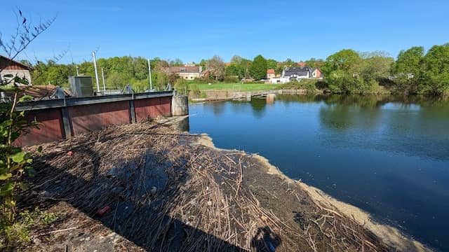 Staustufe Zwickauer Mulde - Image 1