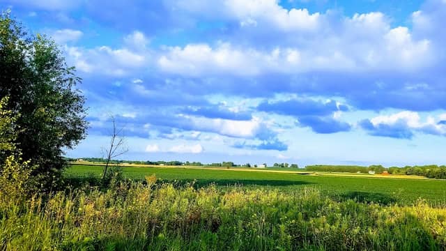 Oshkosh-Larsen Trail Prairies - Image 1