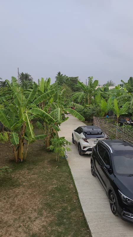 Grandma MAY's Garden - Image 2