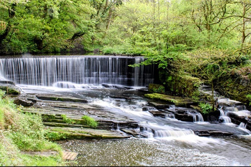 Yarrow Valley Country Park - Image 1
