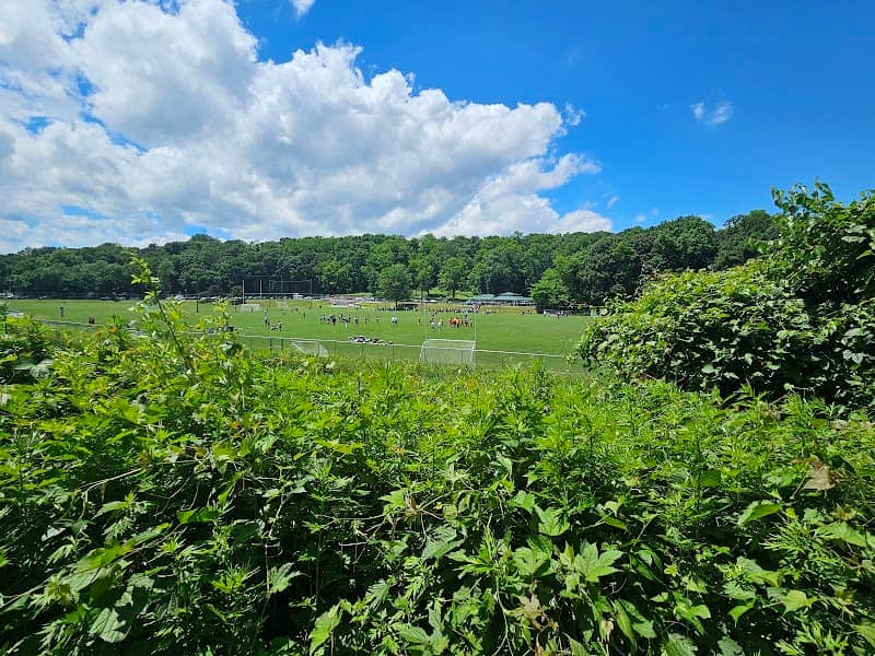 H F Redmond Junior Memorial Park - Image 2
