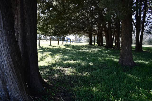 Indiantown Park - Image 3