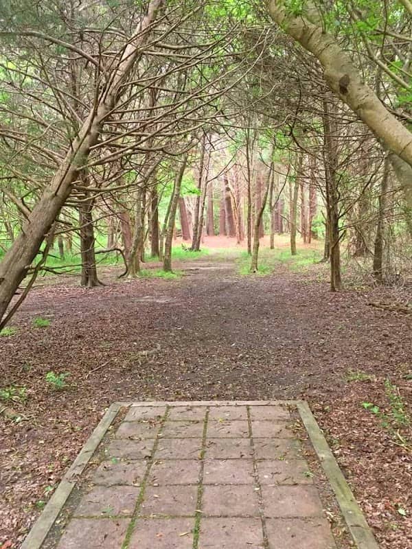 Indiantown Park - Image 2