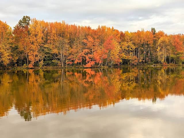 Stonelick State Park - Image 1