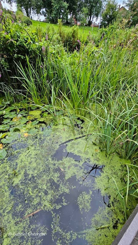 Access to Nature Reserve - Image 2