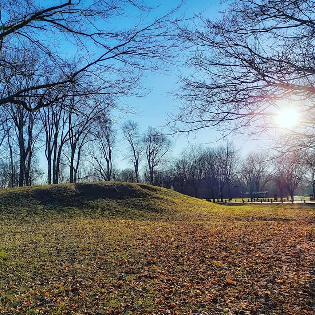 Abrams Park - Image 1